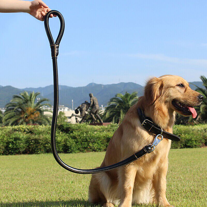 速发狗链中大型犬牛皮项圈训练绳金毛拉布拉多遛狗用品