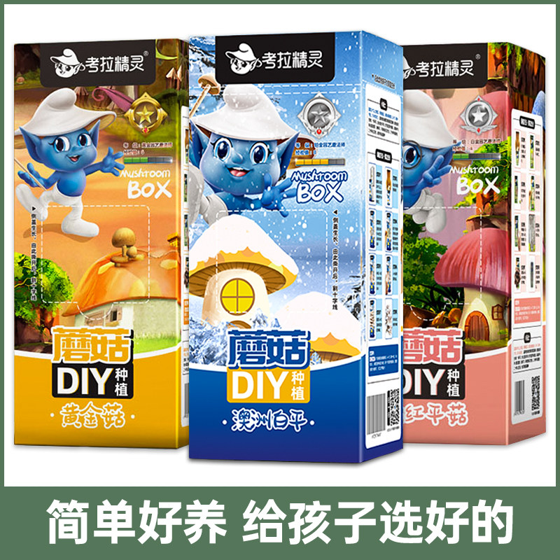 速发蘑菇种植盒观察植园生物幼儿物植长观察儿童植物观察