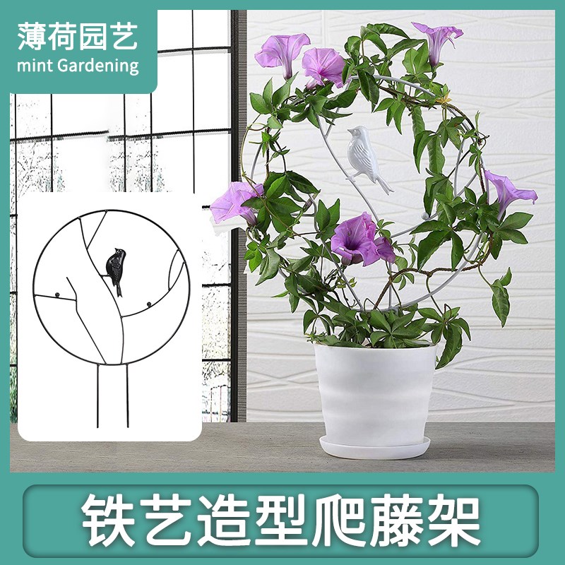 铁艺爬藤攀爬架造型山乌龟雪莹花盆阳台庭院用绿植盆景支架支撑杆
