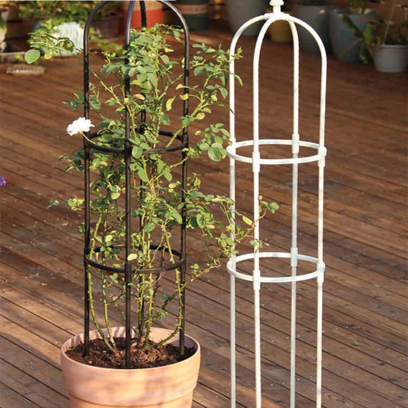 白色花支架铁艺爬藤架组合花架室外园艺花支架月季牵牛花攀爬架子