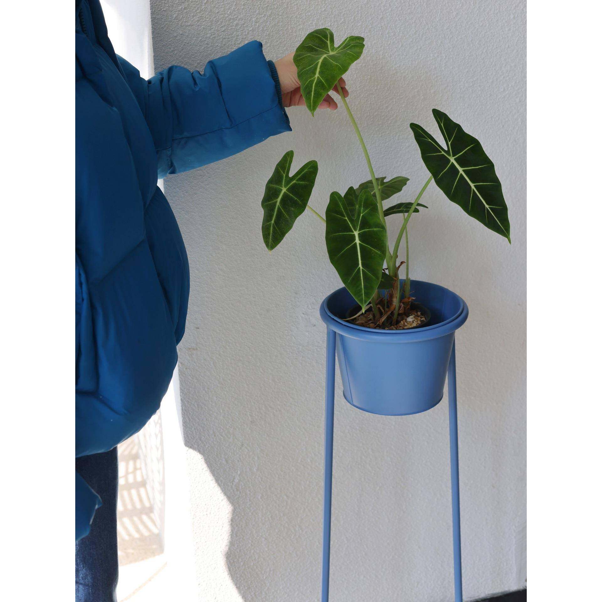 R*嘻物所普鲁士蓝色花架室内极简约设计阳台花盆客厅现代铁可移动