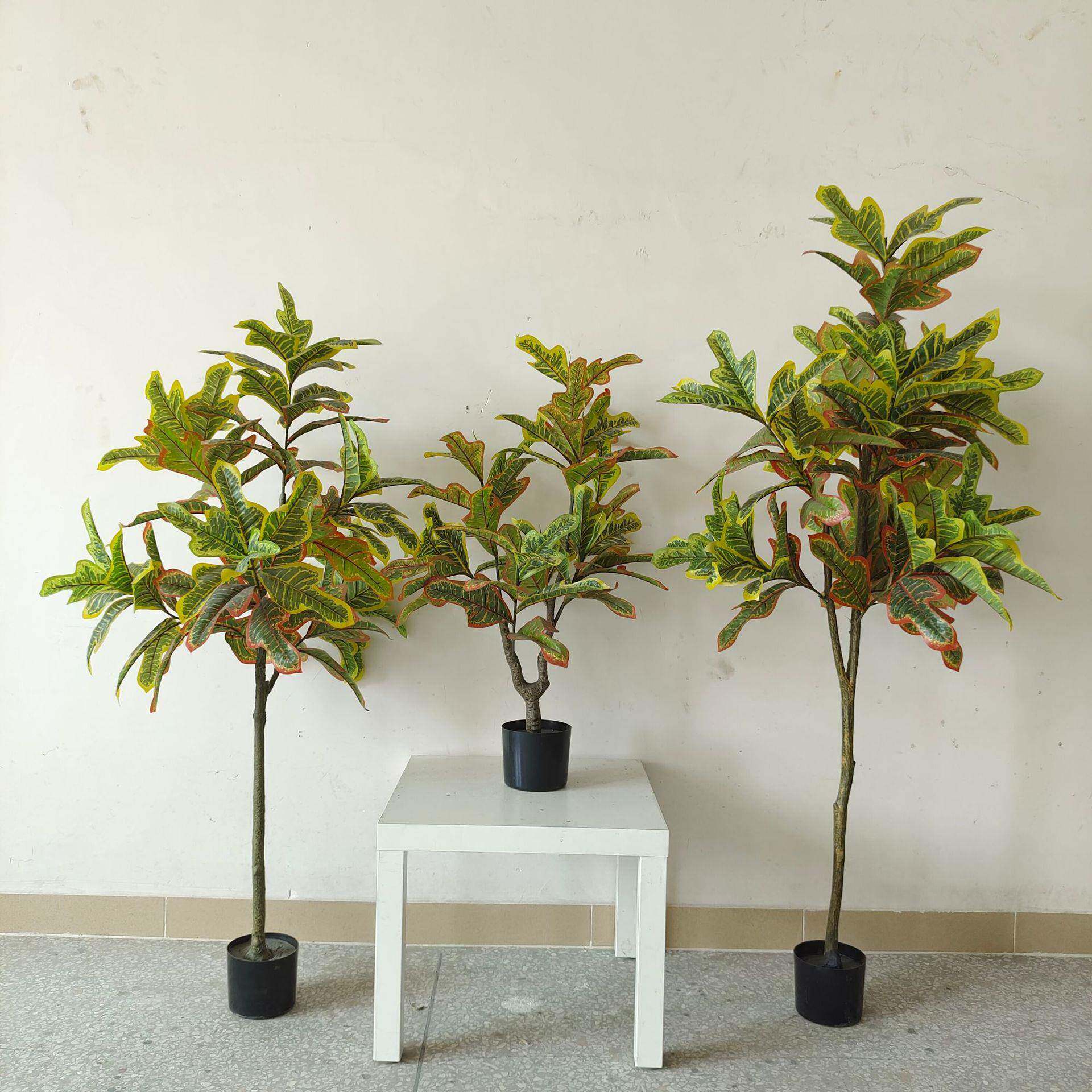 常青仿真植物装饰北欧假绿植盆栽摆件仿真变色木变叶树现货