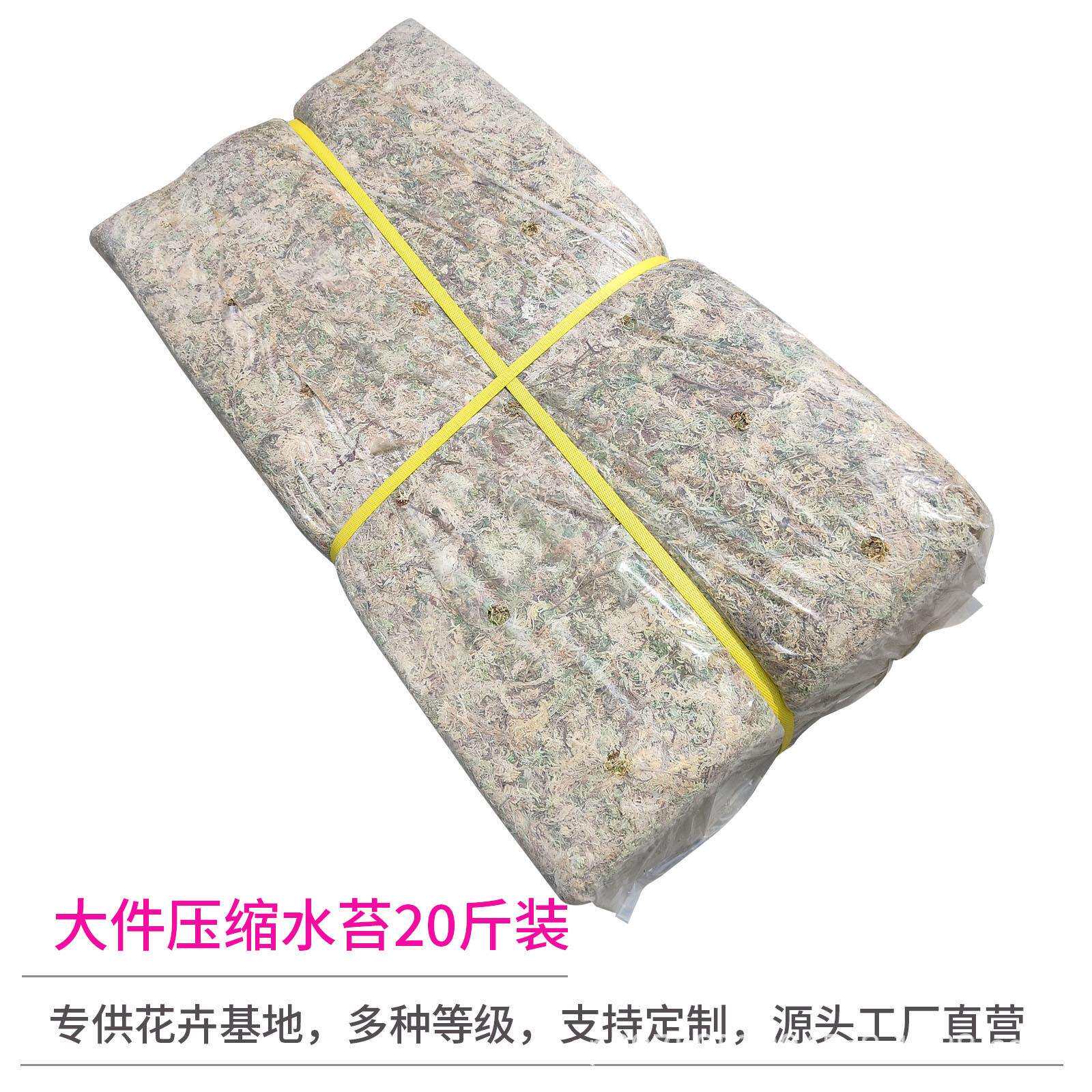 干水苔蝴蝶兰基地专用水苔包邮栽培基质贵州水苔零售工厂加工