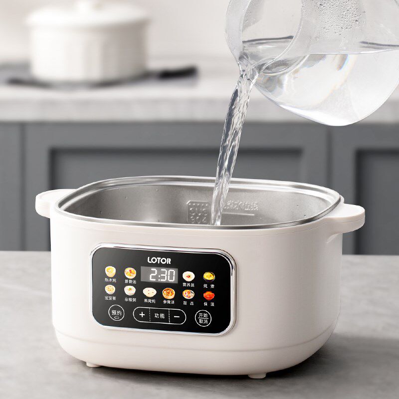 lotor徕多电炖盅隔水炖家用煲汤锅煮粥2025新款不锈钢蒸炖电炖锅
