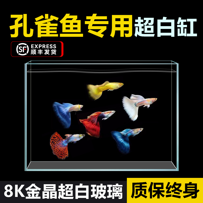 孔雀鱼专用超白鱼缸金晶玻璃小型家用30/40/2025新款方形桌面缸