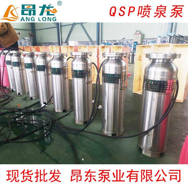 QS/QSP不锈钢水泵喷泉泵QS65-10-3充水景观专用喷泉潜水泵大流量