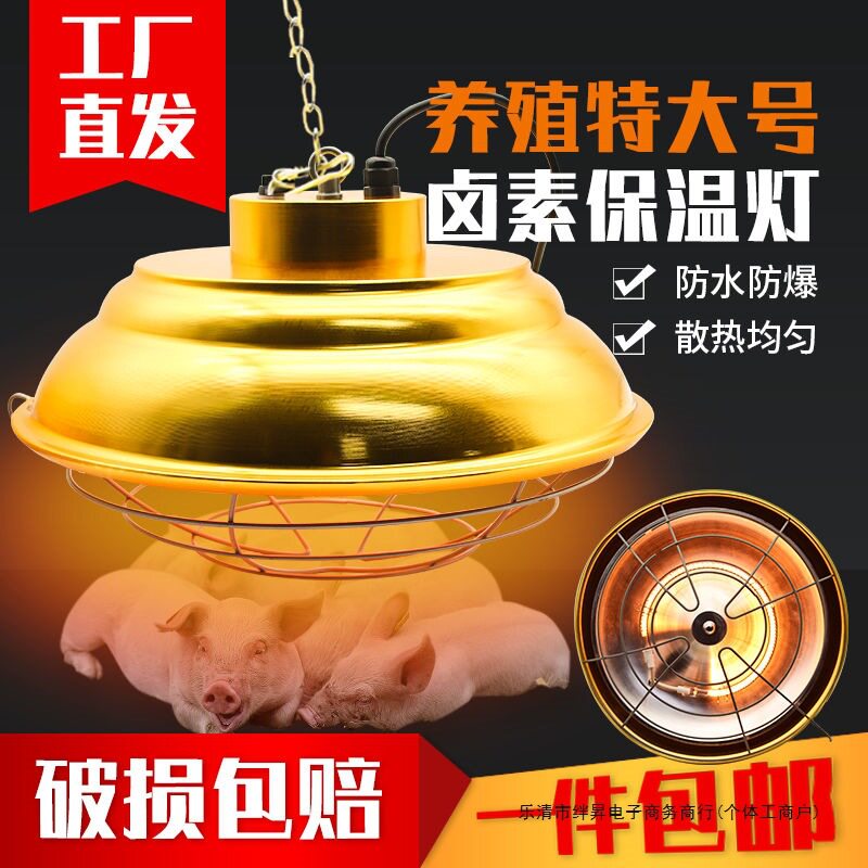 保温灯泡养殖场卤素保温灯猪用仔猪育雏鸡节能灯可调温带灯罩