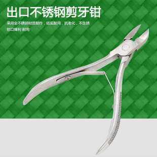 现货进钳子斜口锈钢剪子猪宠物不剪牙钳猪牙用不锈小仔钳钢剪牙齿