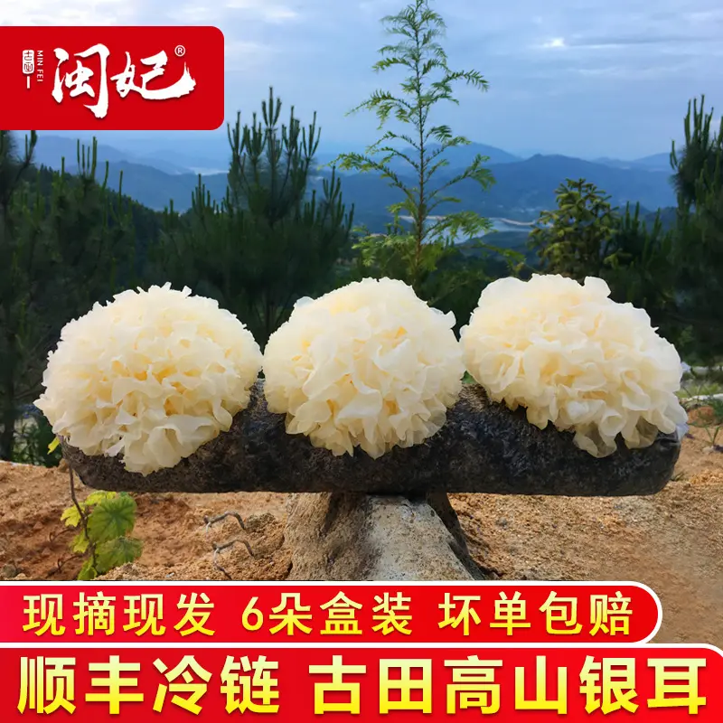 【一件】闽妃古田新鲜银耳6朵盒装 活鲜白木耳特级糯雪耳丑耳全年