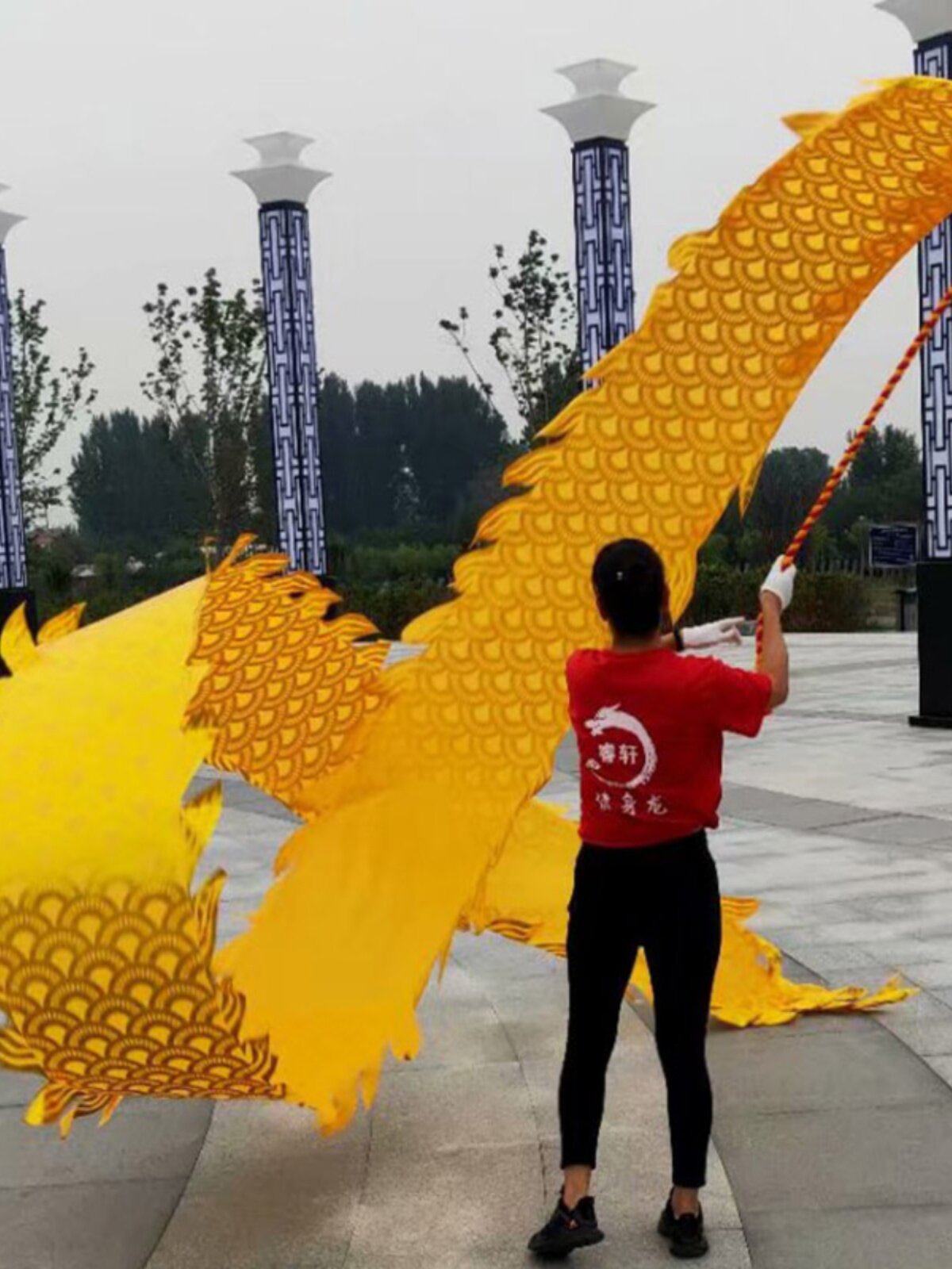 健身龙带甩彩带广场单人童叟手工绳子球龙带七彩红黄蓝绿表演舞龙