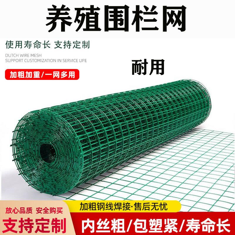 包塑养殖铁丝网养殖鸡鸭鹅围栏钢丝网圈地隔离绿色小孔硬塑护栏网