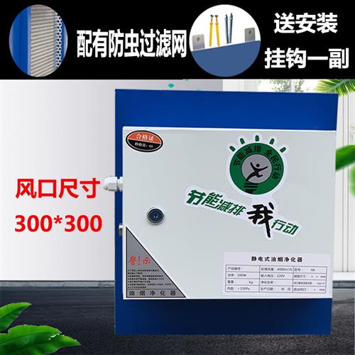包邮油烟净化器4000风量小型饭店F商用厨房餐饮静电式油烟分离器