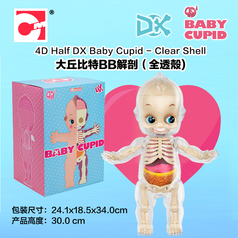 潮玩手办模型集多美4D MASTER 大丘比特BB解剖(全透壳) 629603