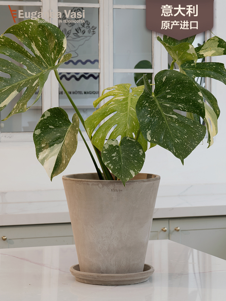 EV陶盆司徒系列透气透水不变色意大利进口高端经典欧式简约花盆