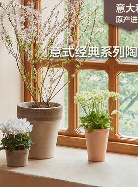 EV机制盆多款式合集中小口径托盘组合