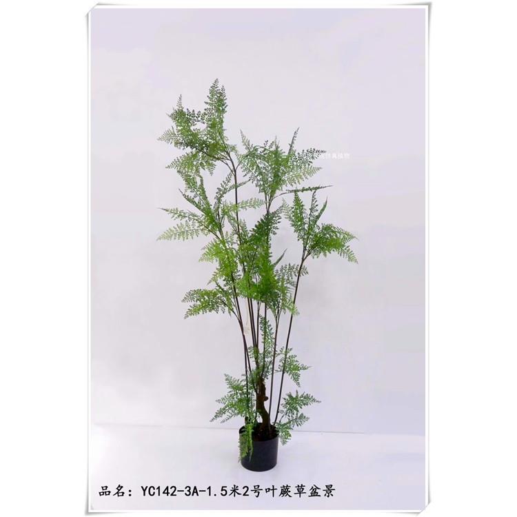仿真蕨草室内植物墙背景墙装饰仿真蕨草盆景