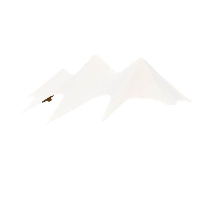 露营地装备天幕zp00008顶帐户外大三型峰双峰篷万重山帐篷云加厚,户外/登山/野营/旅行用品,天幕,淘宝优惠券,粉丝福利购,淘宝优惠卷