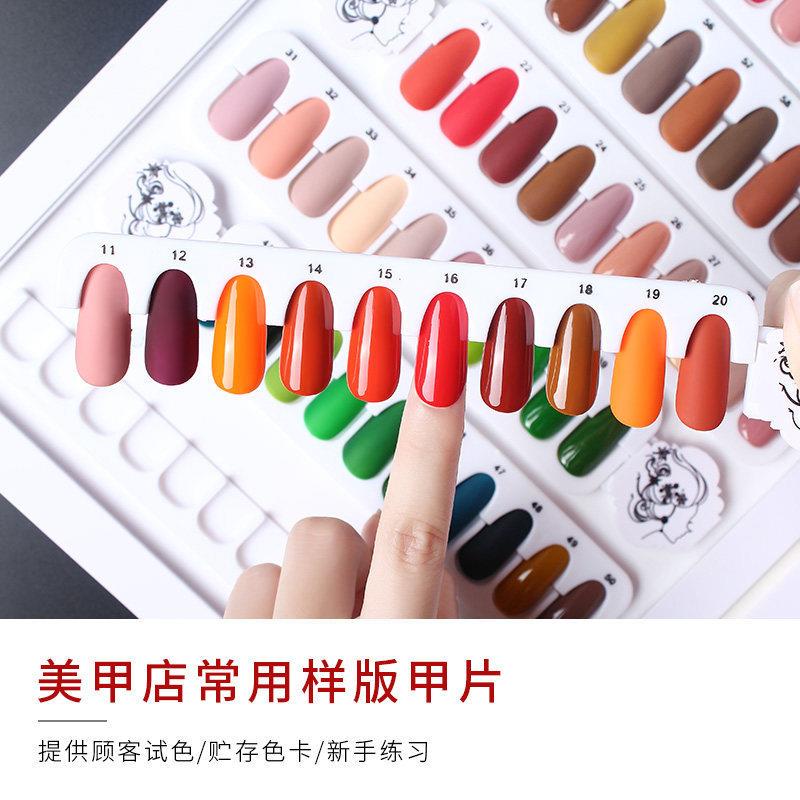 美甲打版甲片透明自然椭圆色卡甲油胶练习架工具甲模展示板240片