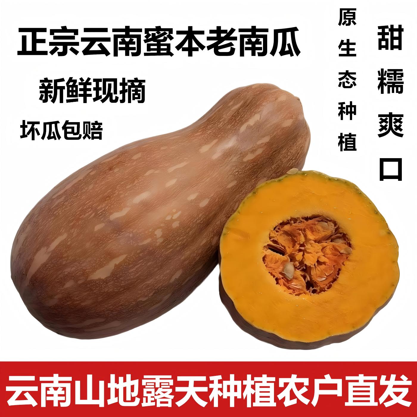 云南蜜本南瓜老品种现摘软糯香甜