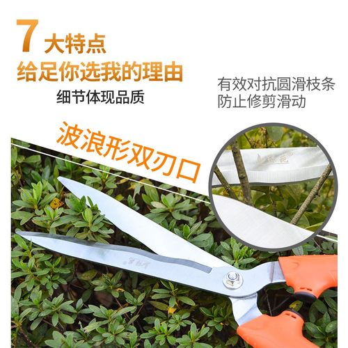 园艺花剪绿化修剪树枝修花修枝剪花木剪草修草坪绿篱剪强力大剪刀