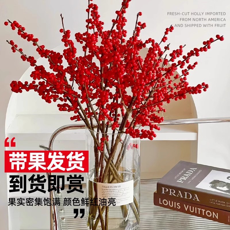 北美冬青鲜切花盆栽水培鲜花植物果年宵室内卧室客厅办公干花摆设