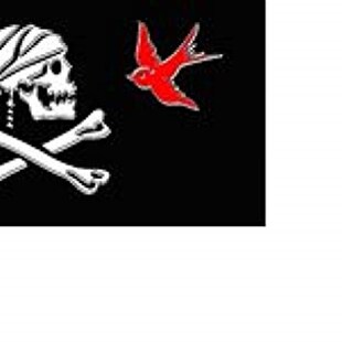 Pirate Jack Sparrow Flag 3x5 Jolly Roger Ship Banne