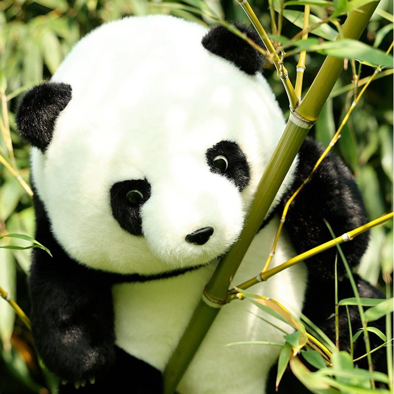 七夕情人节生日礼物女生送女友送给朋友送老婆实用的走心浪漫花花