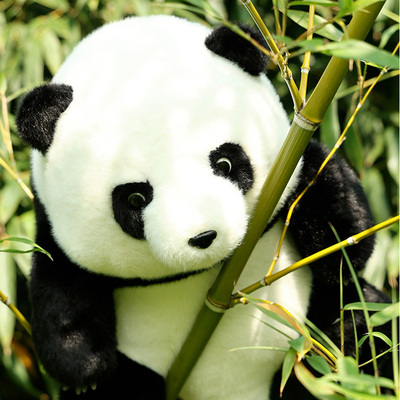 七夕情人节生日礼物女生送女友送给朋友送老婆实用的走心浪漫花花