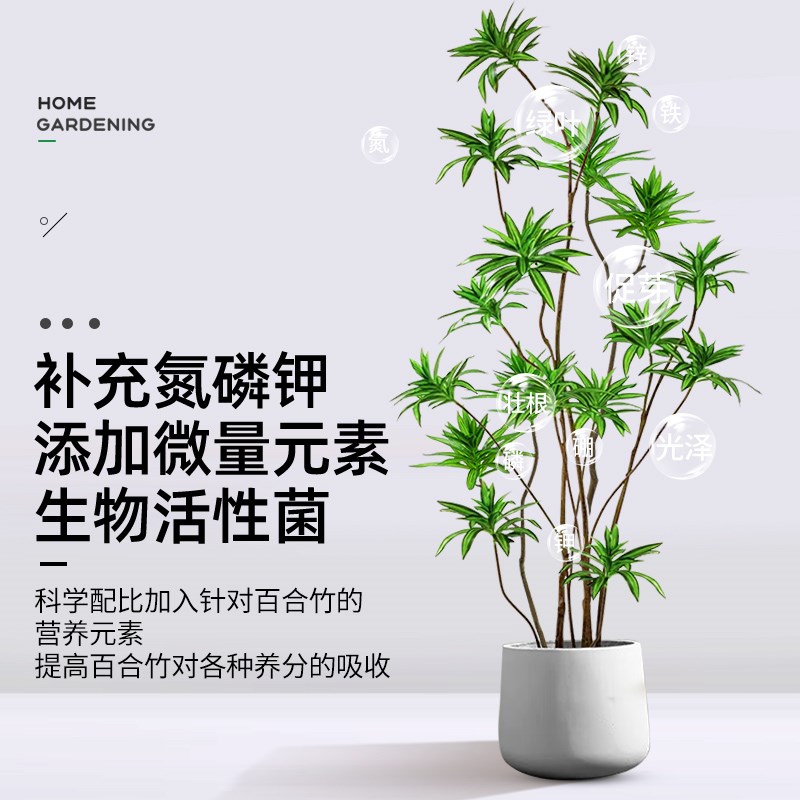 百合竹专用营养液肥料治叶子发黄枯叶养护盆栽绿植通用水溶液体肥