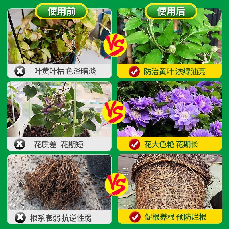 铁线莲肥料专用肥营养液家庭阳台园艺室内户外花卉植物盆栽通用型
