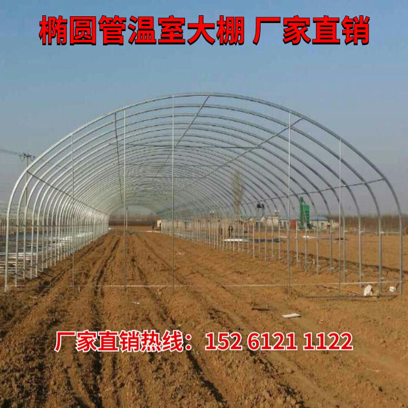 极速钢管骨架蔬菜养管养猪养鸡椭圆殖配室大棚连R体栋全套温件支