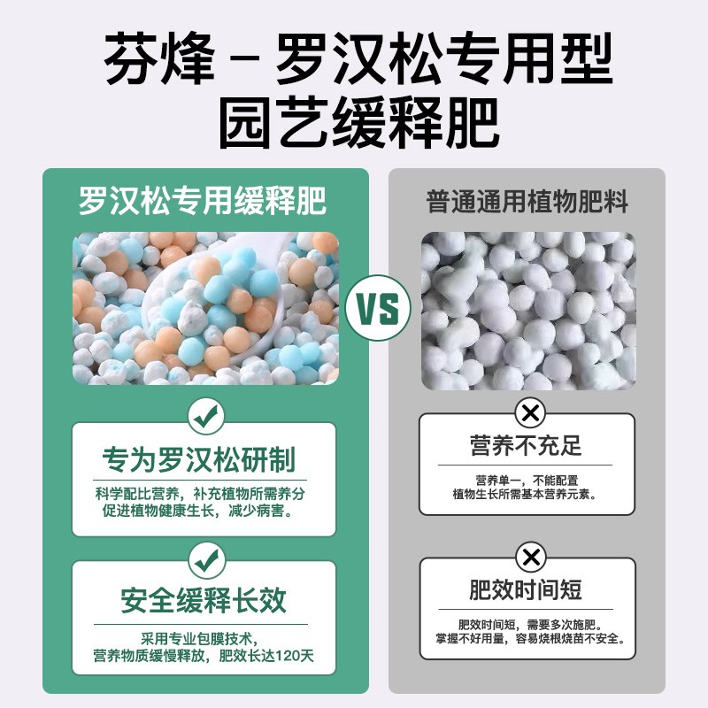 罗汉松专用缓释肥肥料家用盆栽通用型泰山松雀舌四季大阪松复合肥