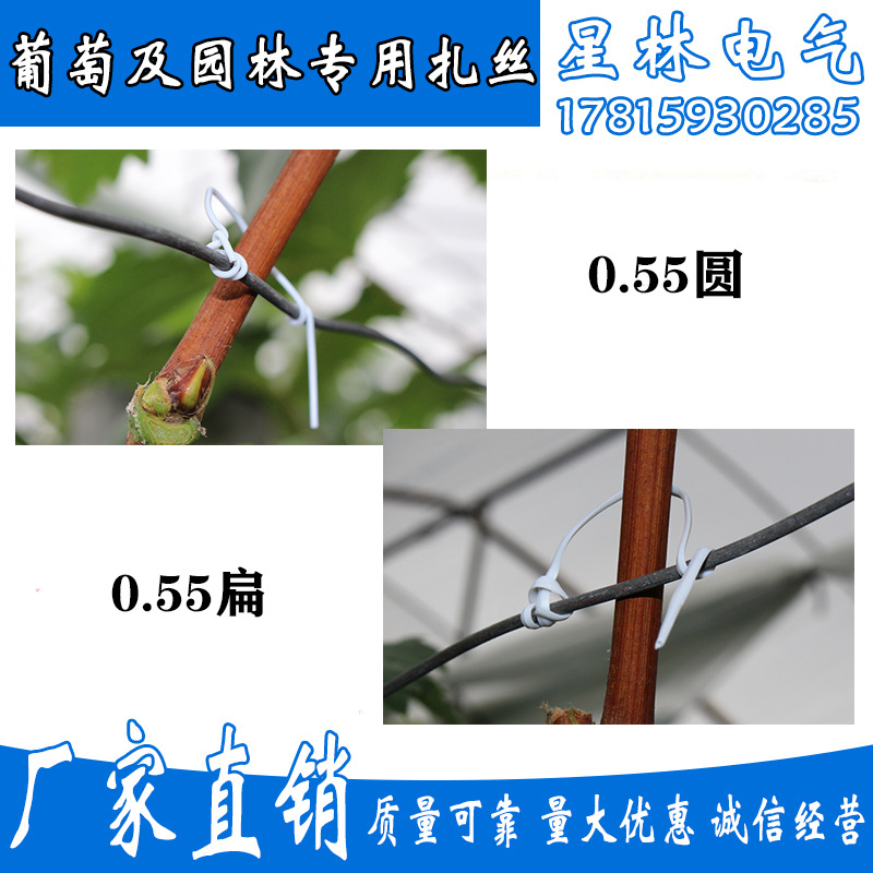 葡萄扎丝,猕猴桃扎丝无花果扎丝花卉扎丝,0.55圆扁10000条