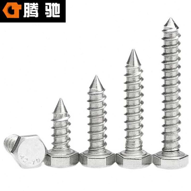 腾驰(CT)034六角木牙螺丝DIN571304不锈钢M630(30支包)