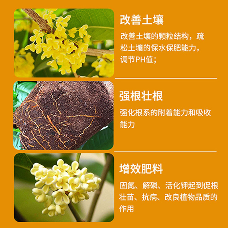 桂花树专用肥料营养液金桂盆栽植物四季通用促花水土培家用液体肥