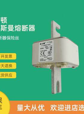 全新快速熔断器保险170M6094 170M6103 170M6108 170M6109议价