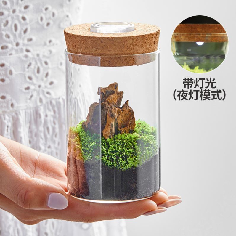 微景观玻璃容器微缩幼儿园植物角水培桌面生态装饰摆饰瓶子青苔