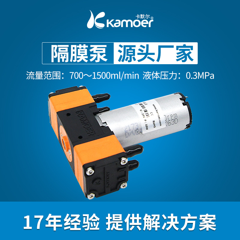 新品微型隔膜泵高压增压泵t水泵24v电动双头泵直流小泵 12v有刷自