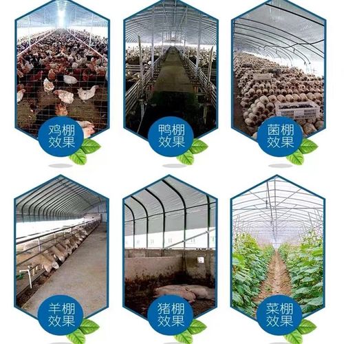 温室大棚骨架钢管养殖种植家用全套猪鸡舍钢架连栋配件简易蔬菜棚