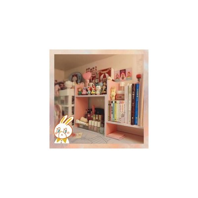 Pink wood filing  file tray magazine DIY organizer desk acce