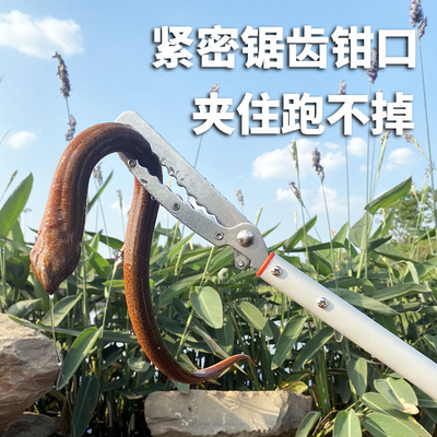加长泥鳅黄鳝夹鳝鱼夹子不锈钢钳子F防滑赶海防神器抓螃蟹龙
