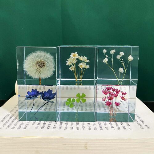 蒲公英规本植物摆件四叶草雏菊滴胶干燥I花方块体树脂摆饰礼物朋