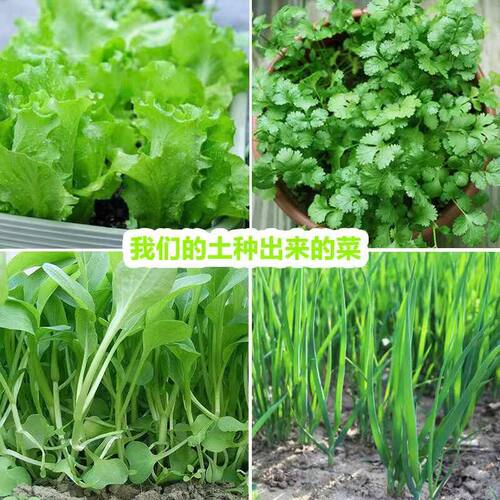 塘泥土池塘土阳台种花种菜种植土通用有机肥土种果树庭院园林花土