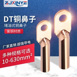 国标铜鼻DT10 300铜线鼻子电线电缆铜鼻子铜线耳铜线接头纯铜紫铜