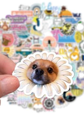 10pcs Vsco G0rl tcSkerWaterproof Skat10335eboard Sc rapbook