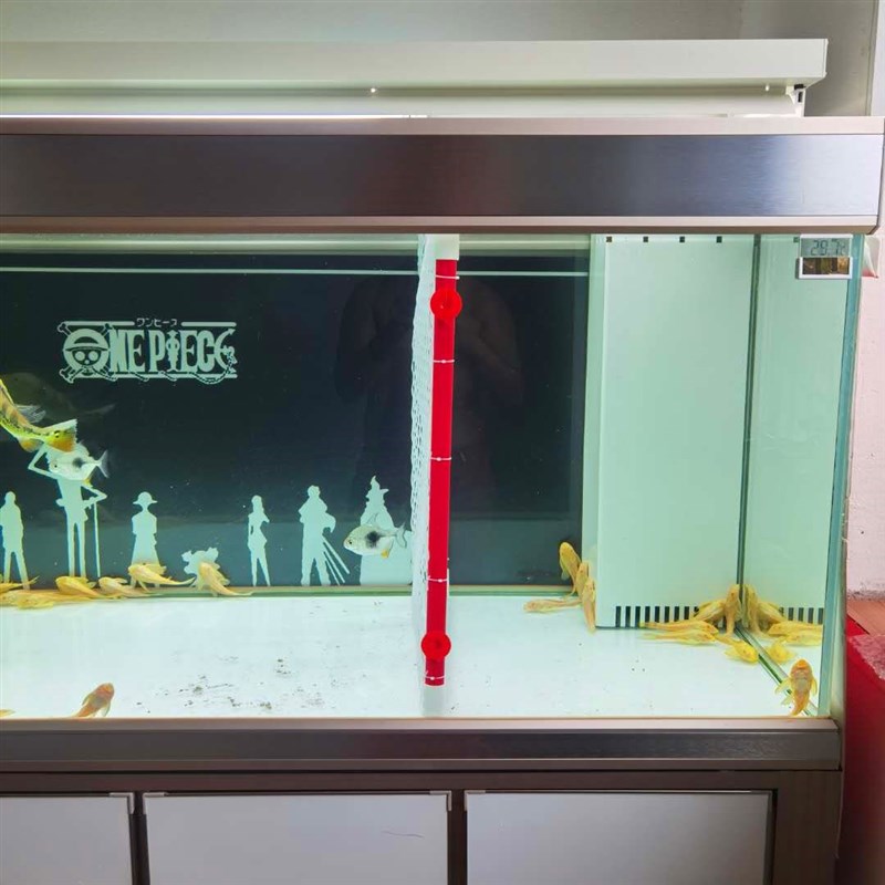 新款鱼缸隔离板循环通畅过滤好不伤龙其它水族用具设备