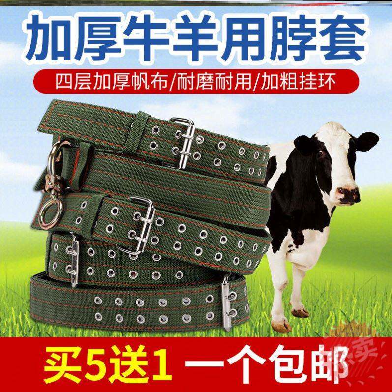 极速牛脖套栓牛脖套加厚耐磨育肥牛项圈牛绳子牛套脖子羊用颈圈牛
