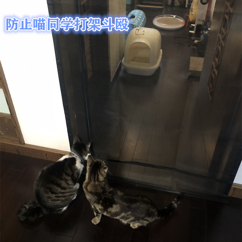 防猫门帘挡猫进卧室阳台防猫网拦猫跳窗隔离宠物门帘阻猫逃跑纱窗