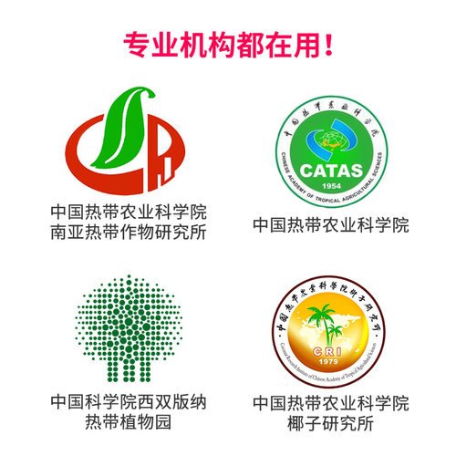 热植萨利安海芋花盆塑料透气控根白色青山秋海棠彩叶芋专用盆