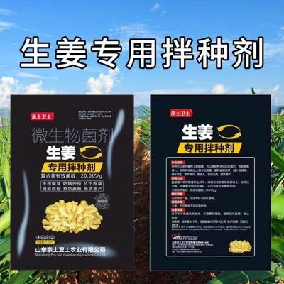 生姜专用拌种剂杀菌驱虫生根催芽大姜浸种剂病原菌预防各种病害